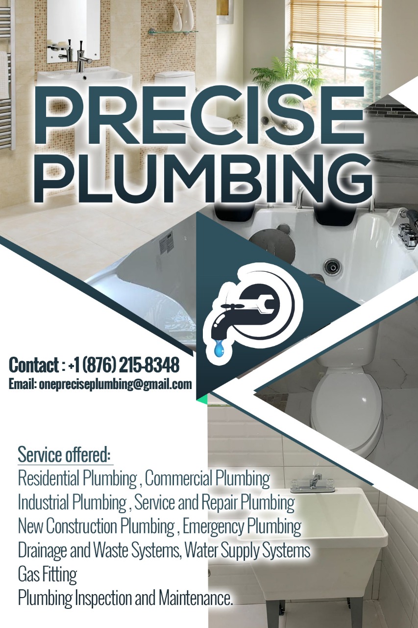 Precise Plumbing