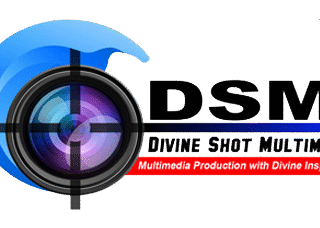 dsm-logo1